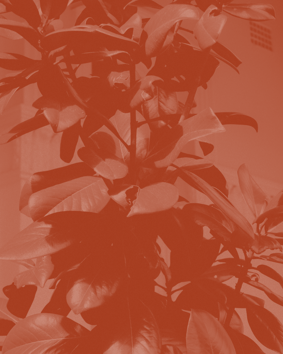 Common Ground: In Conversation with Sophie, Founder of Købn