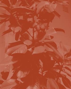 Common Ground: In Conversation with Sophie, Founder of Købn