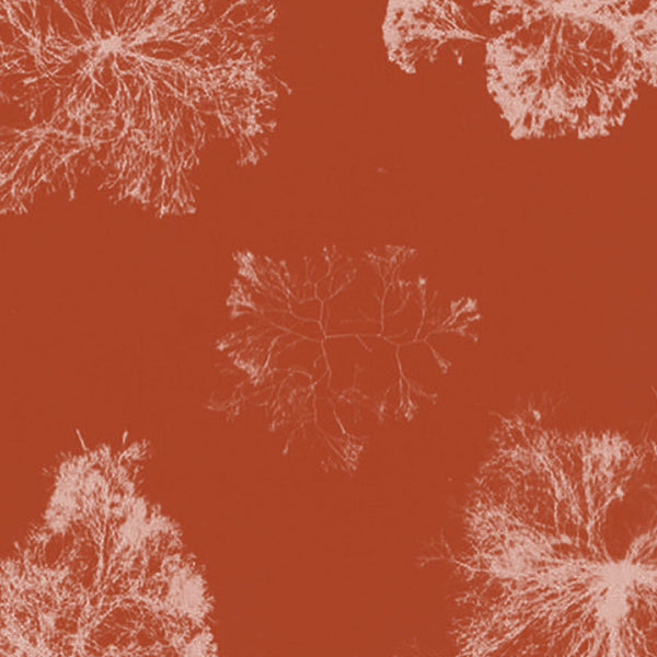 What SIHA avoids when it comes to skincare