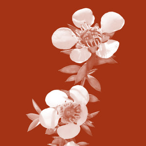 Why We Choose Non-Toxic Skincare