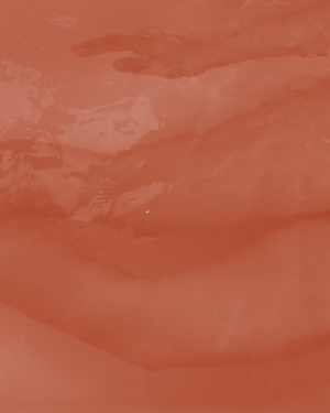 How to Repair a Damaged Skin Barrier