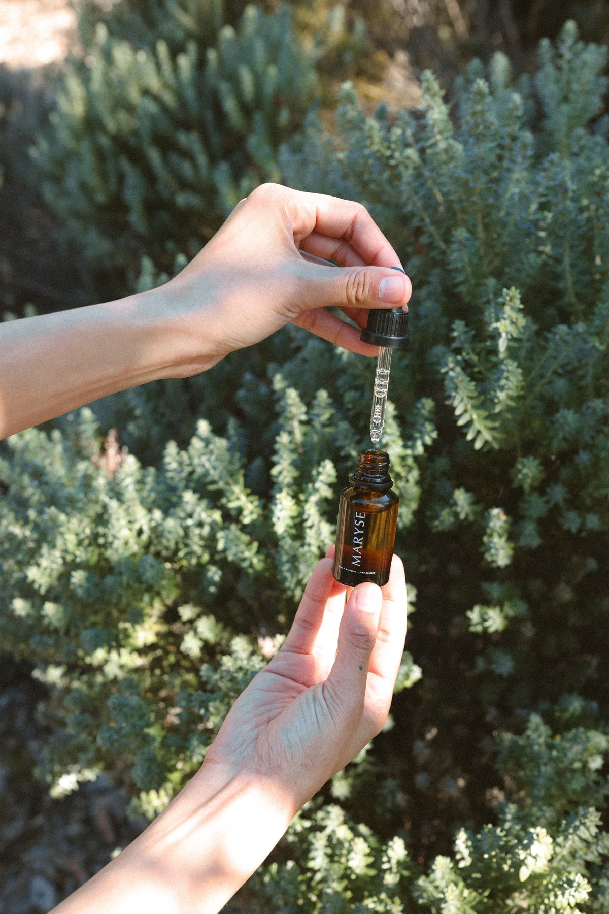 Omega Treatment Oil