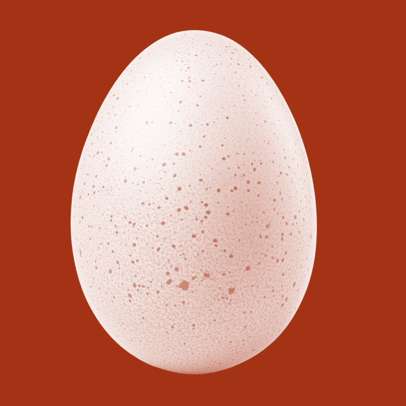 Albumen