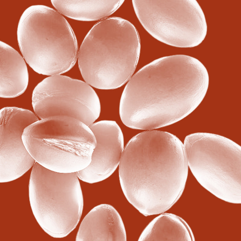 Argan Oil
