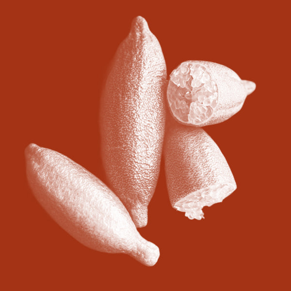 Australian Native Finger Lime Extract
