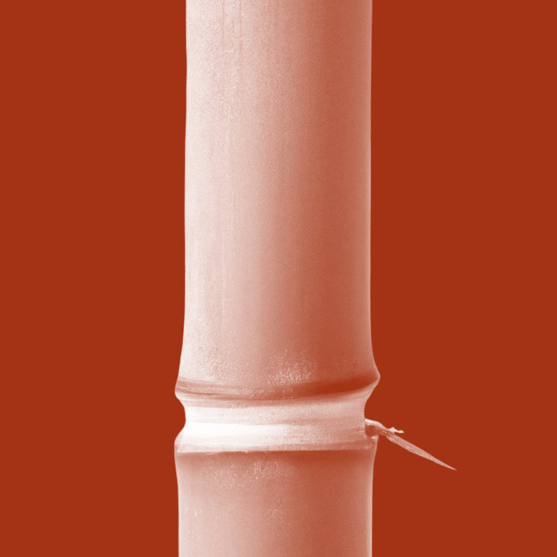 Bamboo Silica