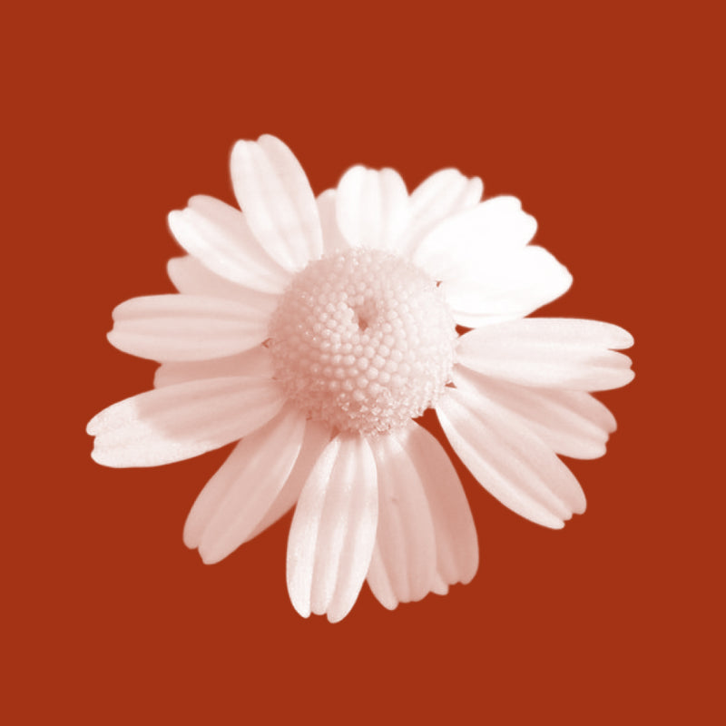 Bisabolol (Chamomile)