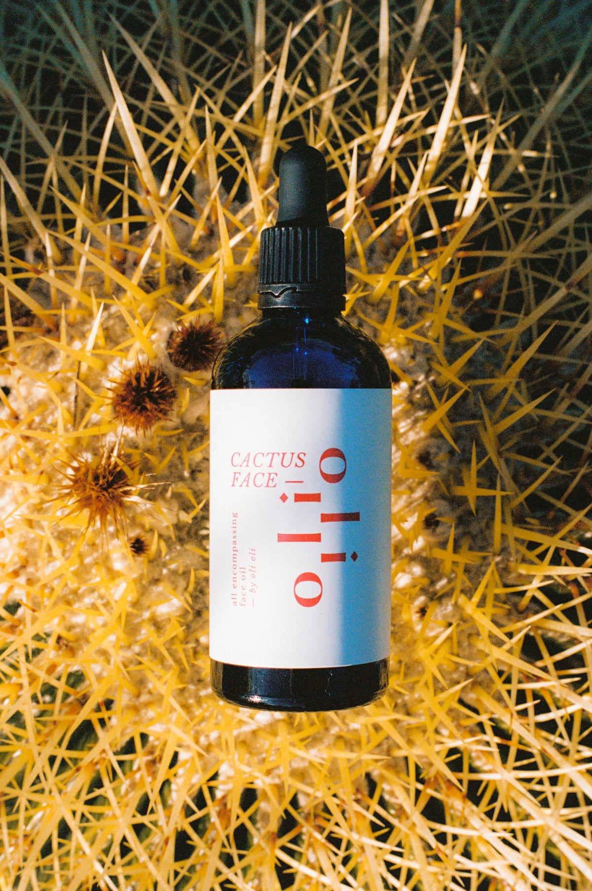 Cactus Face (Prickly Pear Seed Oil)