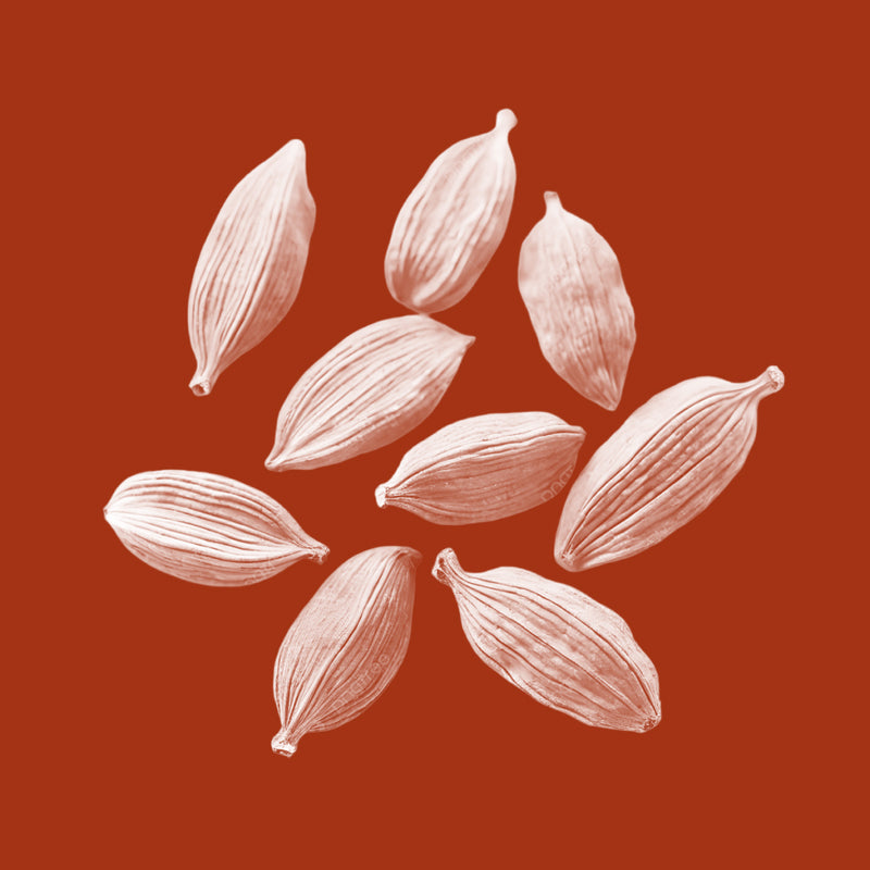 Cardamom Seed Oil
