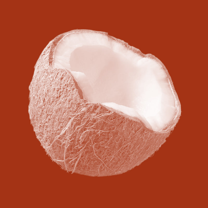 Coconut Oil (Cocos Nucifera)
