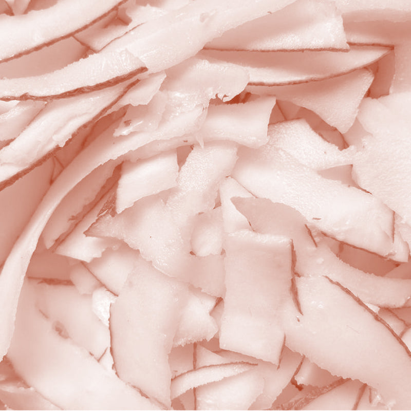 Coconut Water Powder