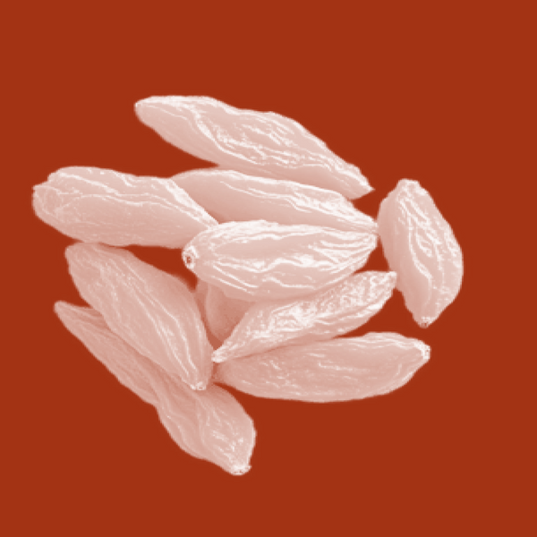 Goji Berry