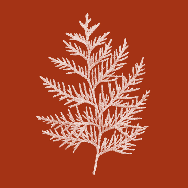 Hinokitiol (Thuja Plicata Extract)