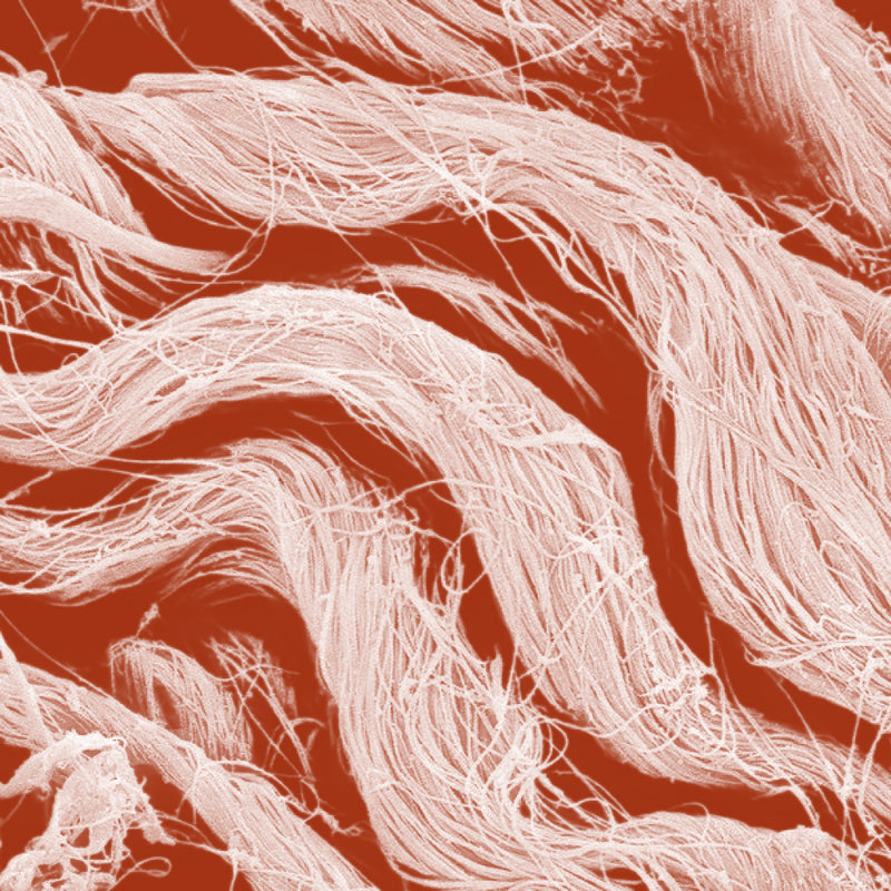 Hydrolysed Bovine Collagen Peptides