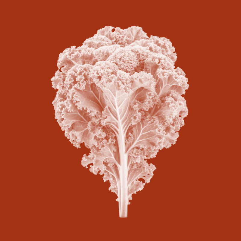 Kale Extract