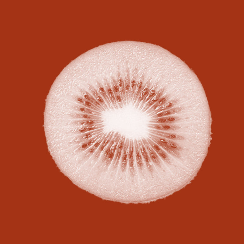 Kiwi Seed Oil (Actinidia chinensis)