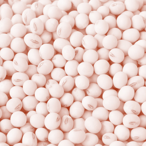 Lecithin