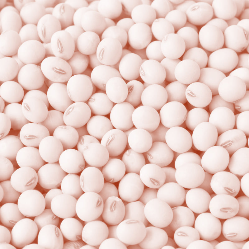 Lecithin