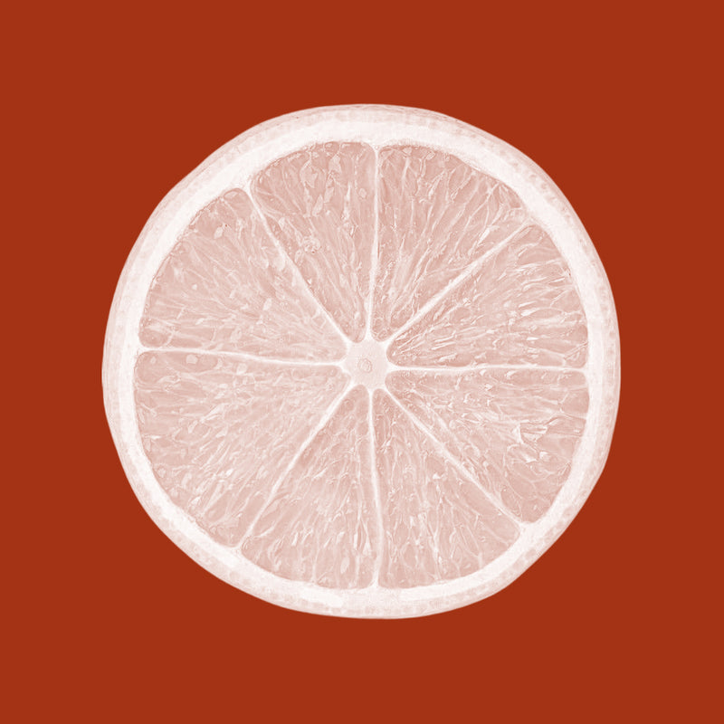 Lemon Juice Powder (Lemon Juice, Tapioca Maltodextrin)