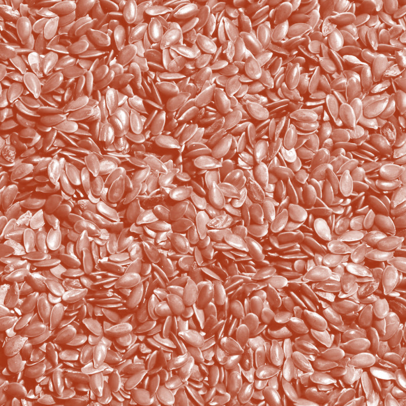Linseed (Flaxseed) Oil (Linum usitatissimum)