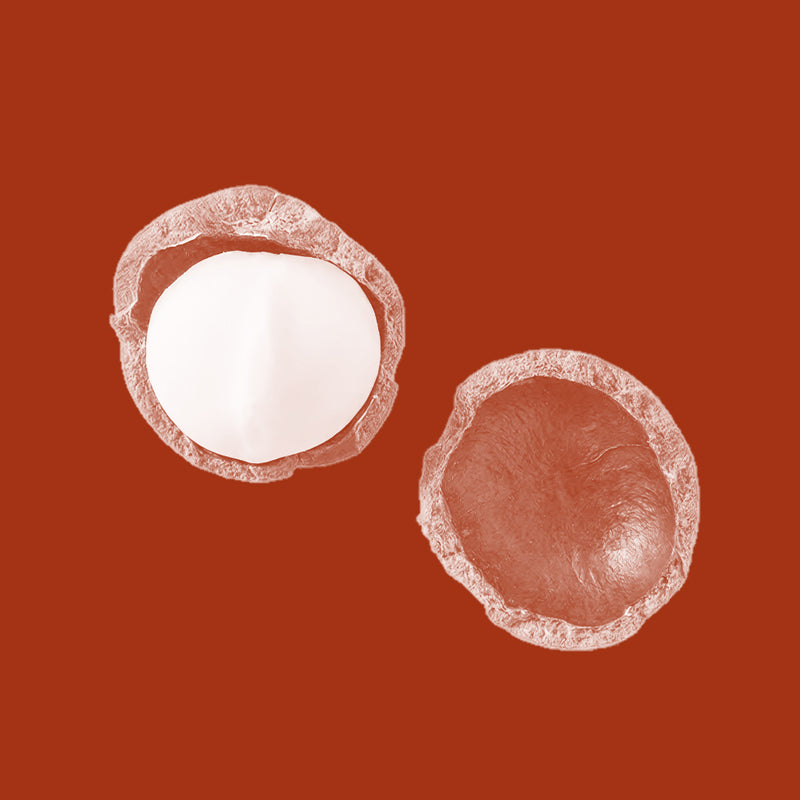 Macadamia Nut Oil (Macadamia integrifolia)