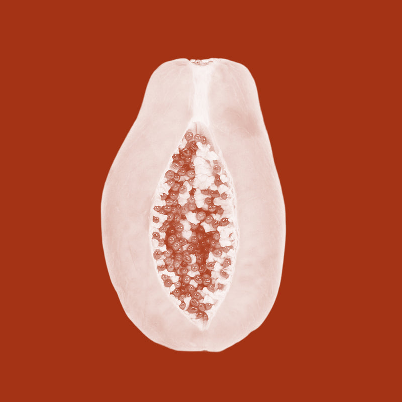 Papain Enzyme (Carica papaya)