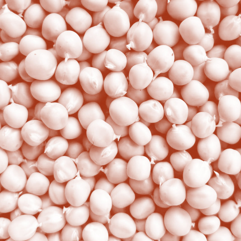 Pea Protein Peptides