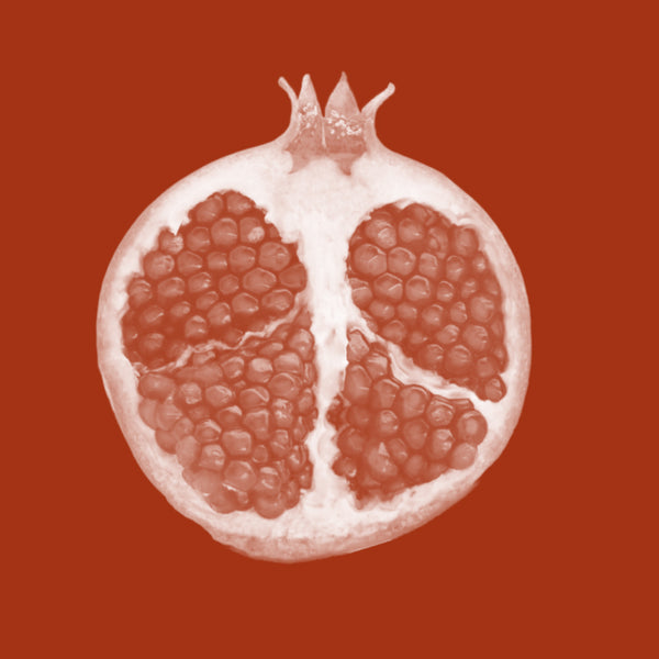 Photobiome (Cotton Callus Culture & Pomegranate Callus Lysate)