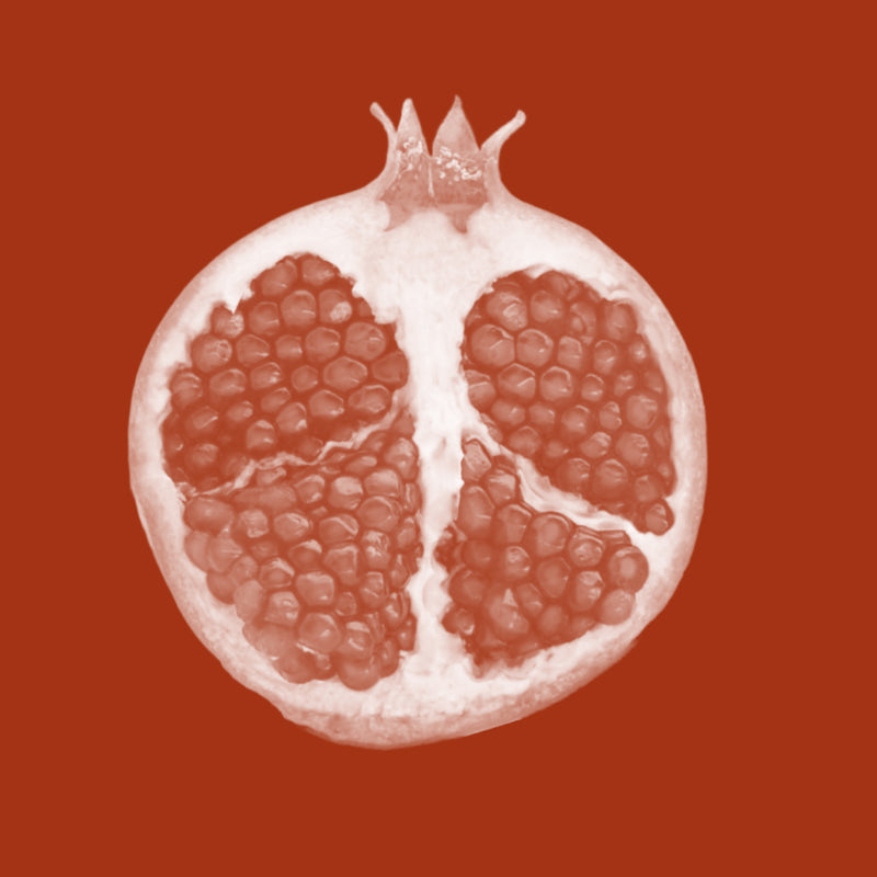 Photobiome (Cotton Callus Culture & Pomegranate Callus Lysate)