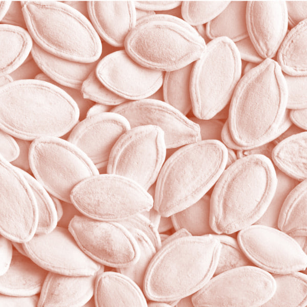Pumpkin Seed Oil