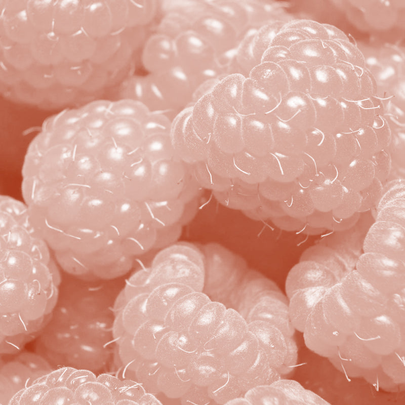 Red Raspberry Seed Oil