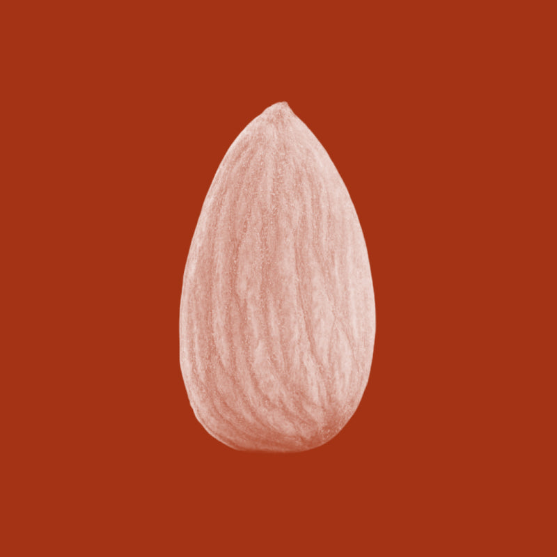 Sweet Almond Oil