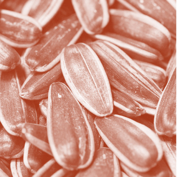 Vitamin C (Magnesium Ascorbyl Phosphate)