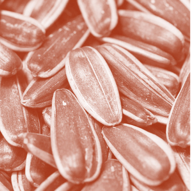 Vitamin C (Magnesium Ascorbyl Phosphate)