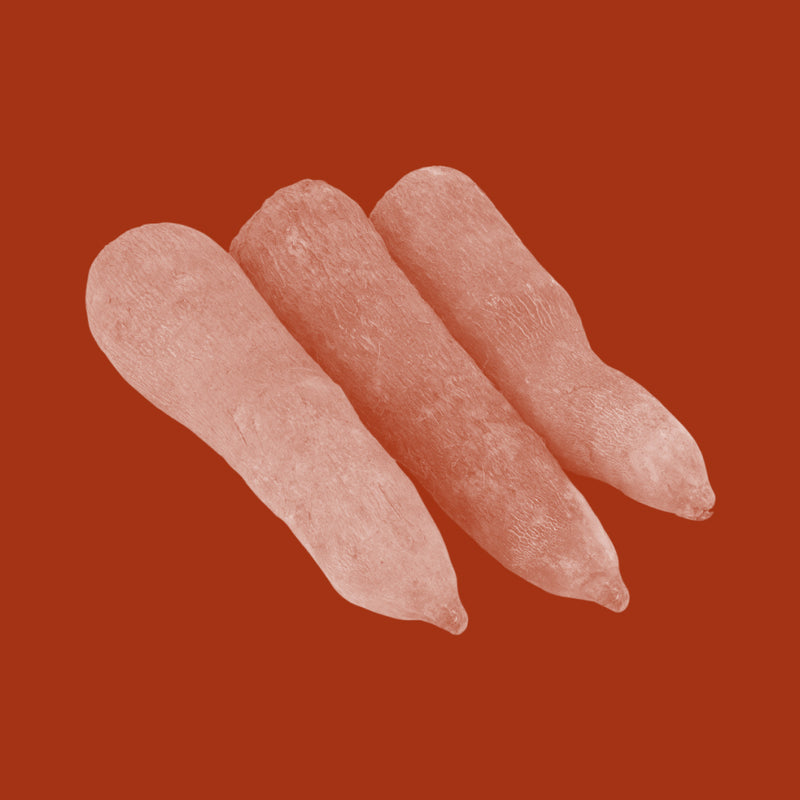 Wild Yam Extract